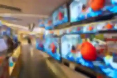 OLED televizori porasli 20 posto