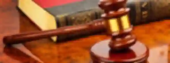 Ustavno vijeće srušilo zabranu u Francuskoj