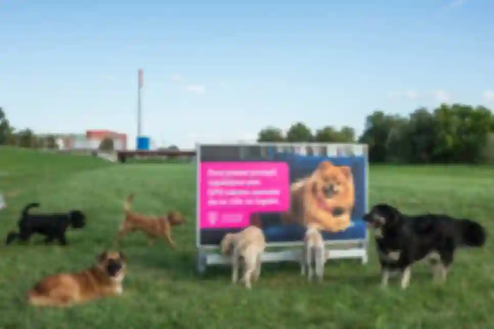 Hrvatski Telekom predstavio inovativni plakat za pronalazak izgubljenih pasa