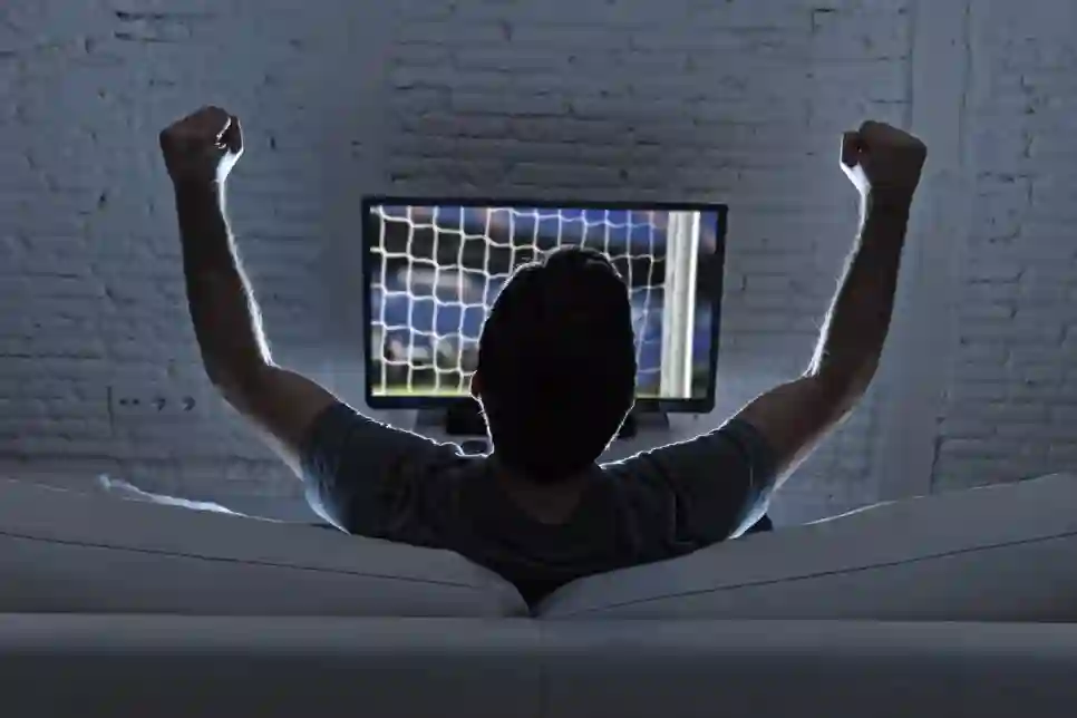 Dnevnik sportskog fanatika