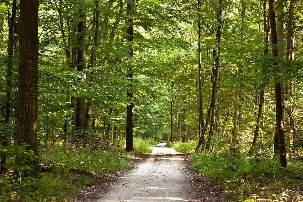 IN2 platforma kao temelj informacijskog sustava za zaštitu okoliša i prirode Slovenije