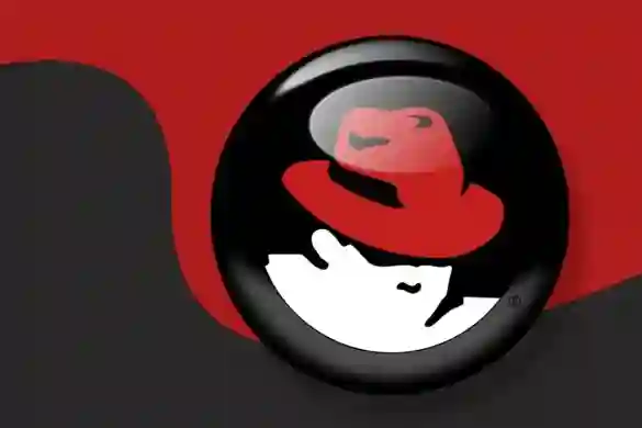 Red Hat se povukao iz Free Software Foundationa zbog povratka Richarda Stallmana