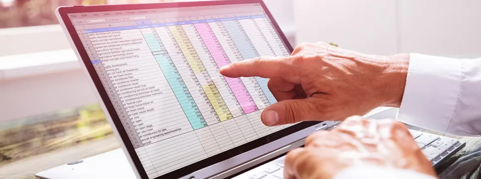 Broj ovrha na novčanim sredstvima poslovnih subjekata i potrošača 31. siječnja 2025.