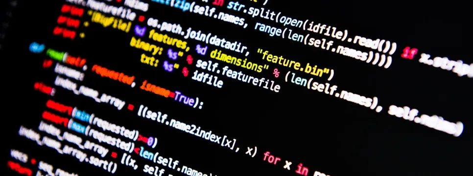 Programski jezici koji će biti najtraženiji u 2025. godini