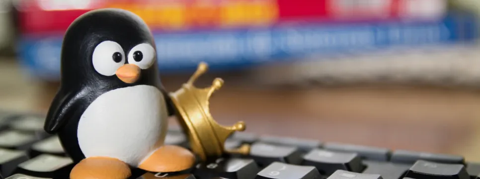 Ova Linux distribucija korisnicima nudi jednostavan alat za migraciju s Windowsa