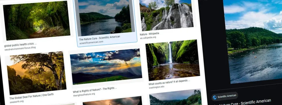 Google Images pojednostavljuje licenciranje fotografija