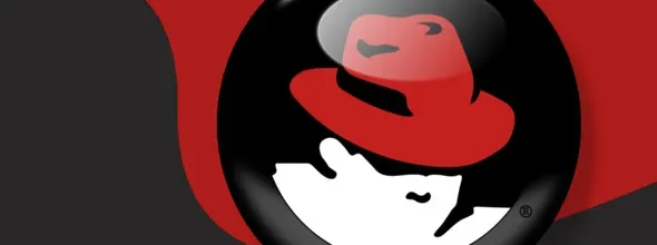 Red Hat se IBM-u nakon samo pet godina višestruko isplatio