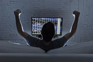Dnevnik sportskog fanatika