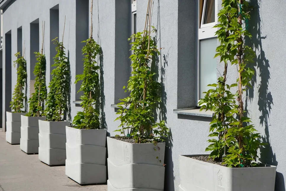 Grad Beč subvencionira ozelenjivanje fasada